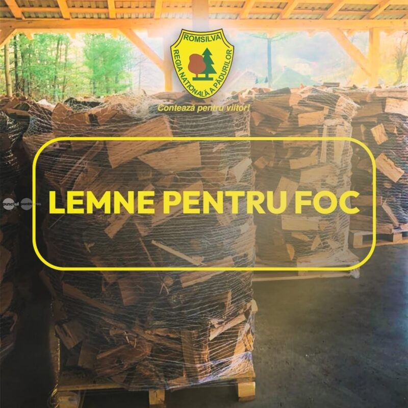 Romsilva pune la dispoziția populației aproximativ 2 milioane de metri cubi de lemn pentru foc în 2026, la prețuri similare celor de anul trecut