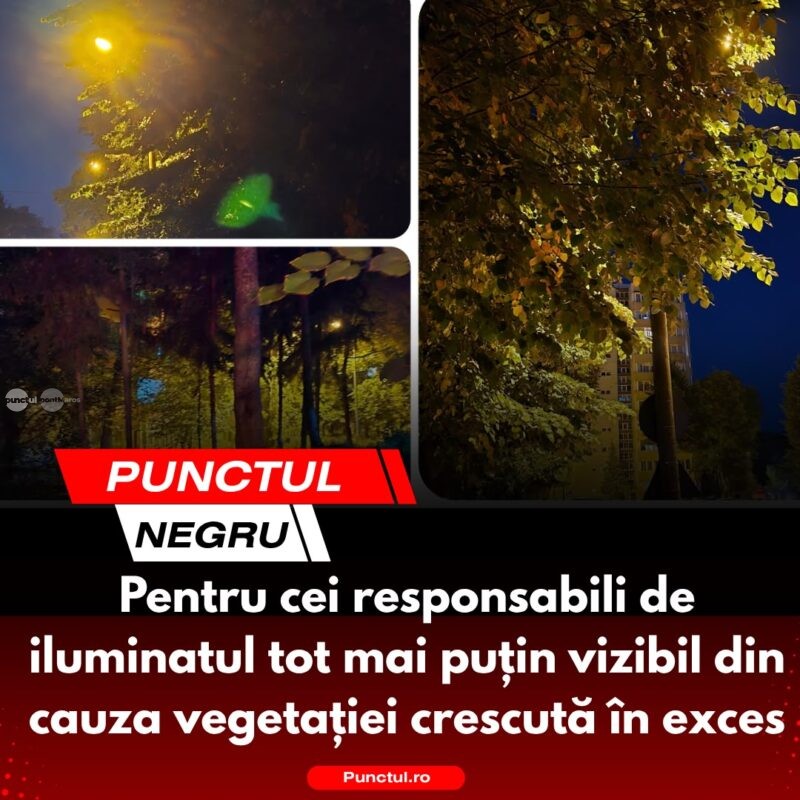 Punctul negru