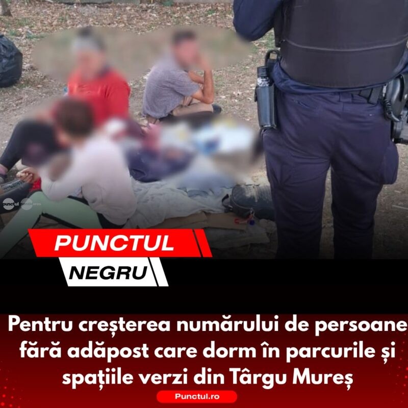 Punctul negru