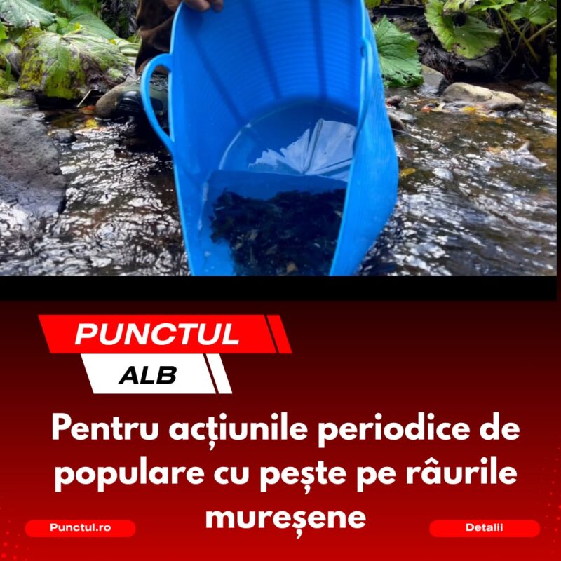 Punctul alb