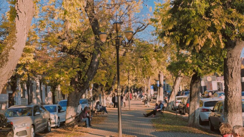 Bugetul municipiului Târgu Mureș, rectificat: peste 310 milioane pentru dezvoltare