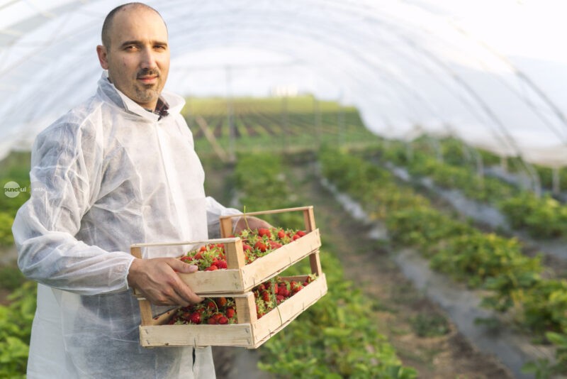 Program de 170 de milioane de euro pentru tinerii fermieri Înscrierile încep pe 6 octombrie
