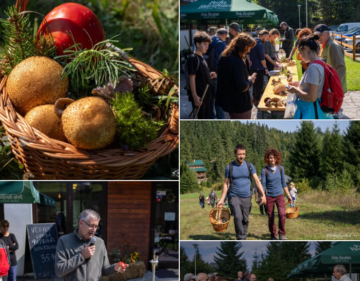 Weekendul ciupercilor la Piricske: două zile dedicate naturii și gastronomiei